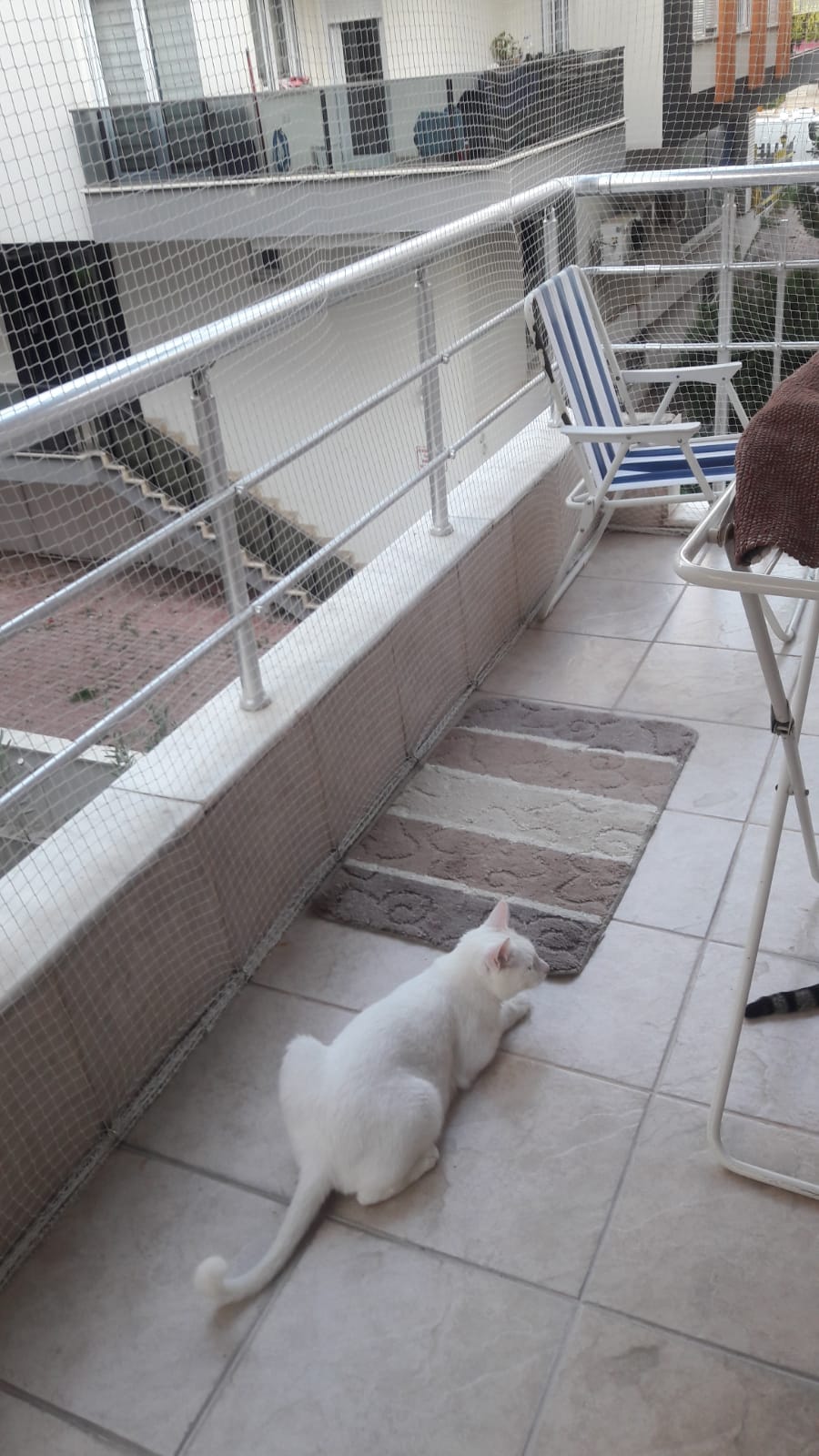 Kediler Icin Balkon Korumasi